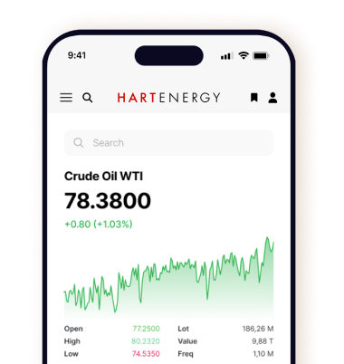 screenshot of energy markets database